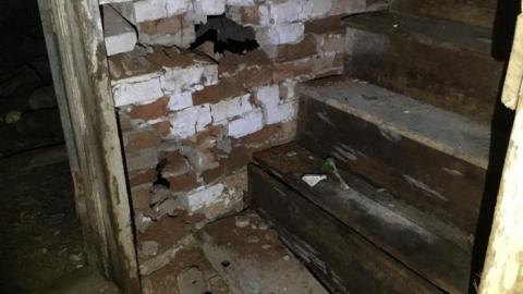 So much to see! - 99C348B6-7A31-4371-A052-A6476ACED998.jpeg