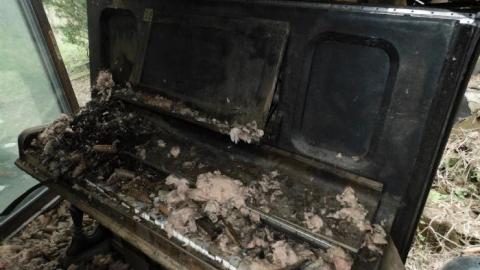 May 2019 - You-Were-But-A-Ghost-In-My-Arms40.jpg