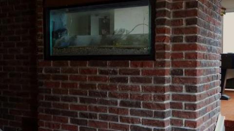 Polka Dot Door '18 - DSC01168.jpg