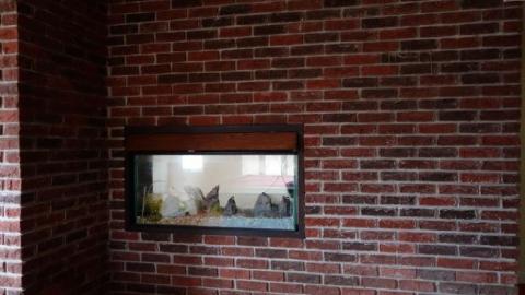 Polka Dot Door '18 - DSC01174.jpg