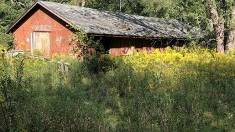 Photo from Camp Tillingwood