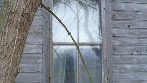 NW corner - Dartmoor-(forgotten-hamlet)70.jpg