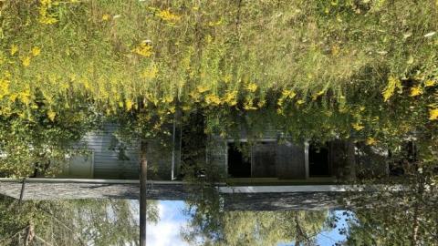 Camp Tillingwood - Camp-Tillingwood36.jpeg