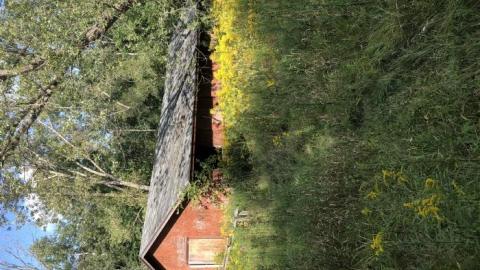 Camp Tillingwood - Camp-Tillingwood37.jpeg