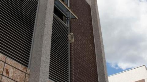 molded minds - IMG_1848.jpg