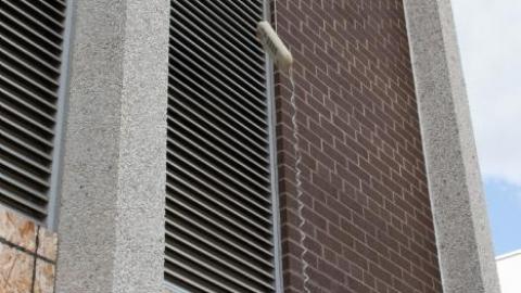 molded minds - IMG_1849.jpg