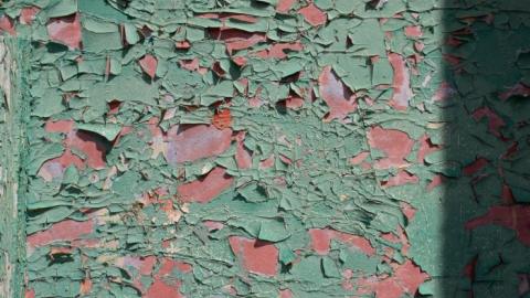 molded minds - IMG_1855.jpg