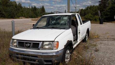 molded minds - IMG_1886.jpg