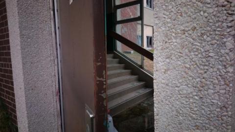 molded minds - DSC_0194.jpg