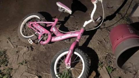 So much to see! - 457F3AD4-14A5-4FC8-99A2-8397585A5AA7.jpeg