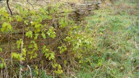 more of the NW - Dartmoor-(forgotten-hamlet)88.jpg