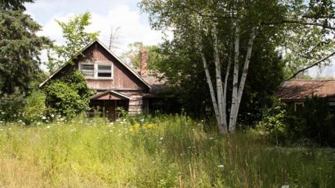 Dave's BBQ - IMG_1759.jpg