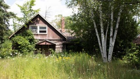 Dave's BBQ - IMG_1760.jpg