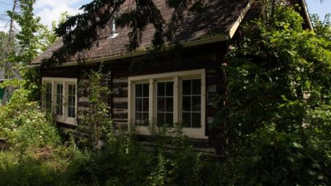 Dave's BBQ - IMG_1763.jpg