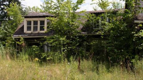 Dave's BBQ - IMG_1764.jpg