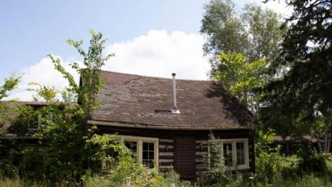 Dave's BBQ - IMG_1765.jpg