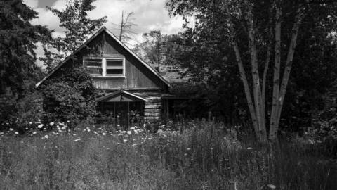 Dave's BBQ - IMG_1761.jpg