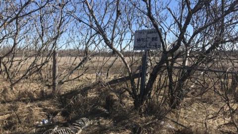 May 2019 - This-is-My-HouseHard-Island-Rd27.jpg