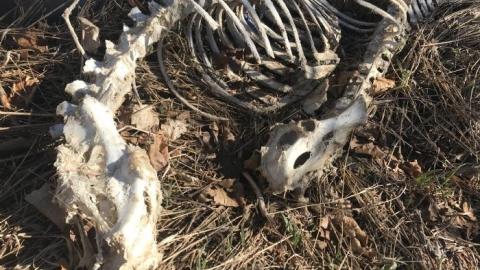 May 2019 - This-is-My-HouseHard-Island-Rd28.jpg