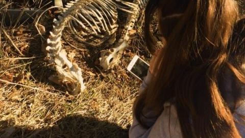 May 2019 - This-is-My-HouseHard-Island-Rd29.jpg