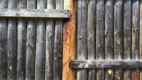 From 2016 - Fort-Willow28.jpeg