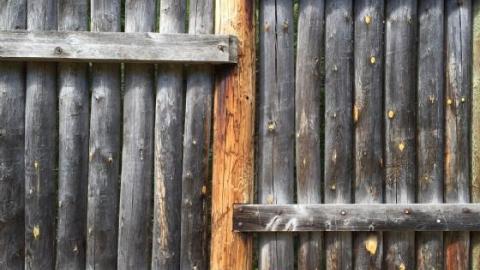 Photo from From 2016