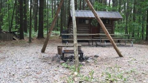 Photo from From 2016