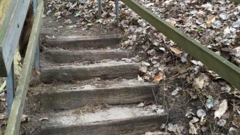 Photo from From 2016