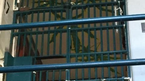 2016 visit jail/ jail museum - Kingston-Penitentiary45.jpeg