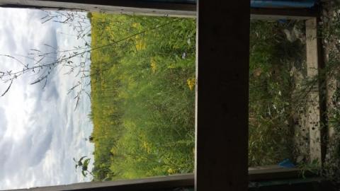 Rec'd Centre photo 3