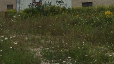 Rec'd Centre photo 5