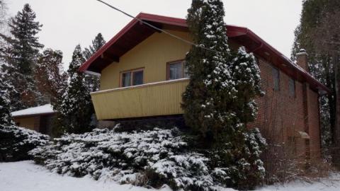 Photo from Hair Of Gold, Jan '19