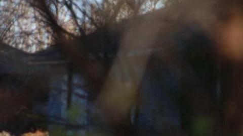 Camp Yungvelt - Camp-Yungvelt6.jpg