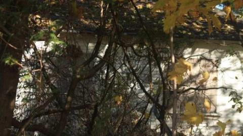 Camp Yungvelt - Camp-Yungvelt45.jpg