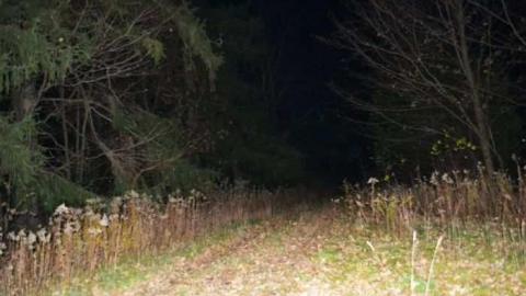 November 2011 - Jeremiahs-Field47.jpg