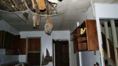 November 2011 - Jeremiahs-Field59.jpg