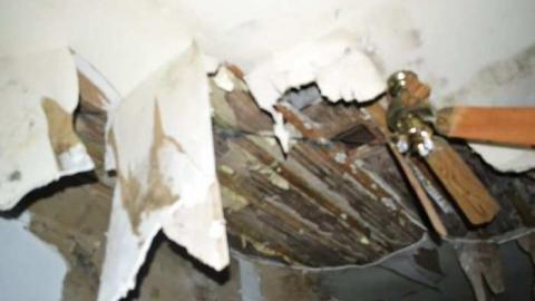 November 2011 - Jeremiahs-Field49.jpg