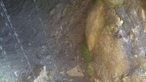 Photo from September 20th 2019