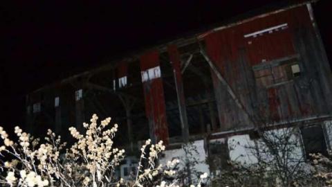 November 2011 - Jeremiahs-Field26.jpg