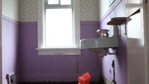 House of 30 different wallpape - Dr.-No5.jpeg