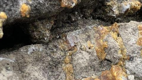 Photo from Stone Road Fossils/Crystals