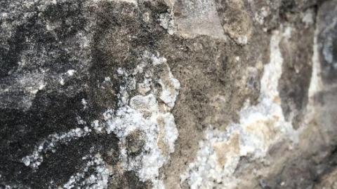 Stone Road Fossils/Crystals - Stone-Rd-Prison-Quarry24.jpeg