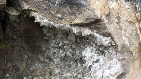 Stone Road Fossils/Crystals - Stone-Rd-Prison-Quarry25.jpeg