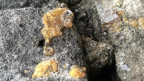 Stone Road Fossils/Crystals - Stone-Rd-Prison-Quarry27.jpeg