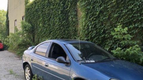 Nougat bakery - 589121E9-CE0C-4BEC-BC31-D80F61248E5C.jpeg