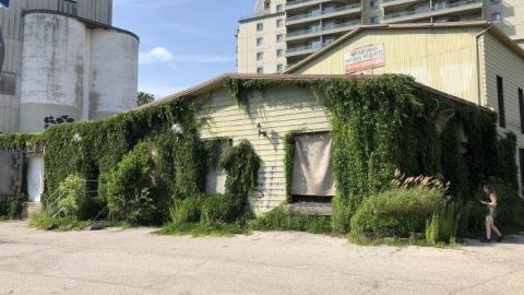 ENP/Nougat Bakery - Kitchener, Ontario