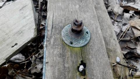 May 2019 - DSCN1796.jpg