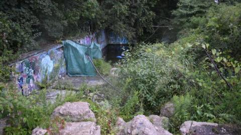 Photo from August 2019