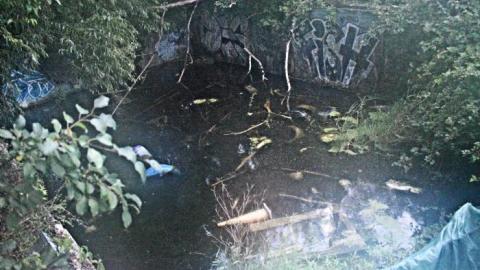 August 2019 - Abandoned-Pool78.jpg