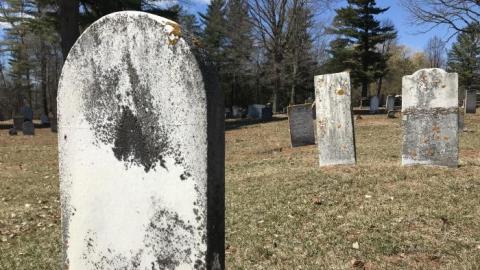 Photo from April 2019